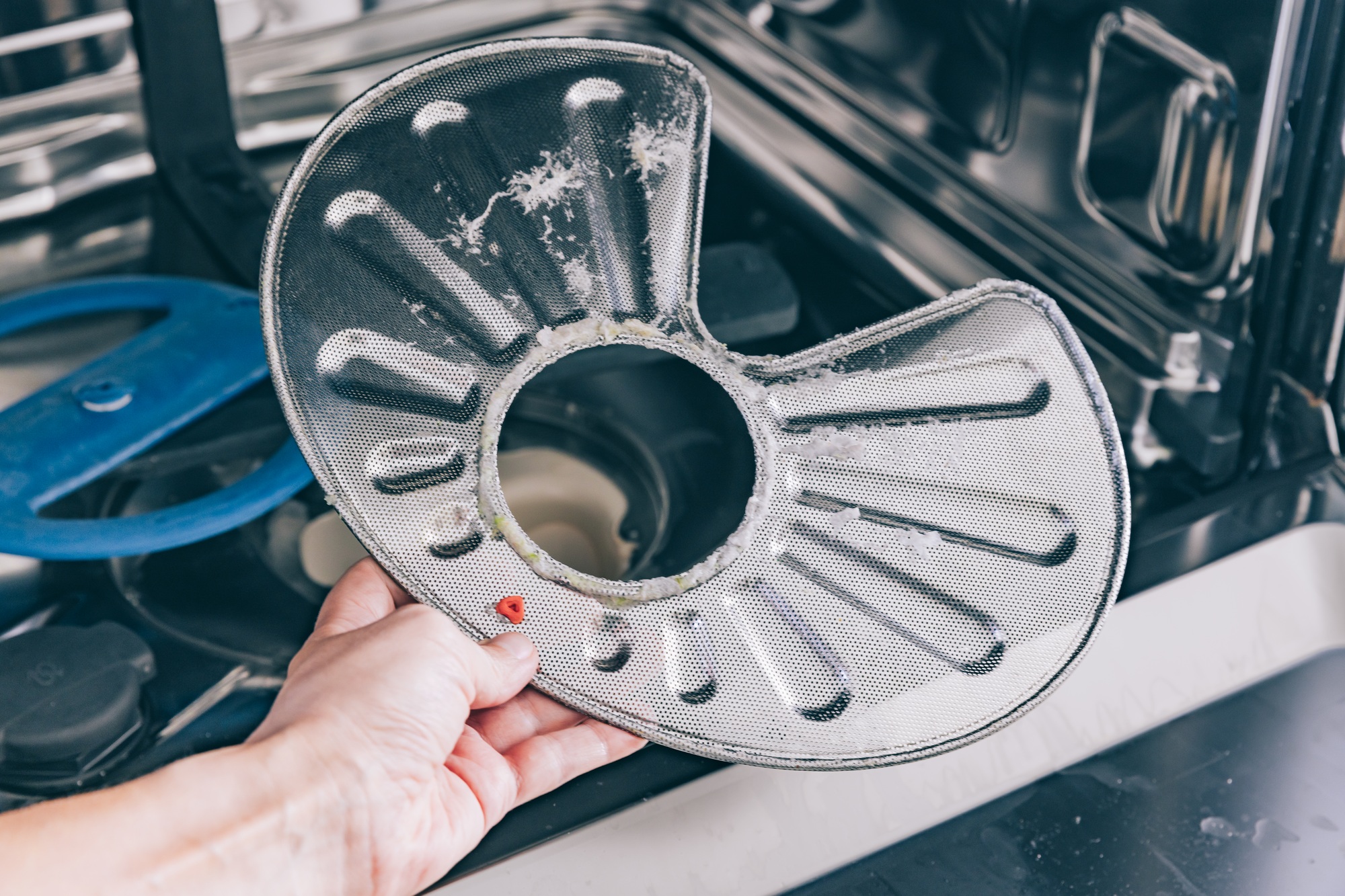 Man cleans the filter in the dishwasher. Maintenance of home appliances.